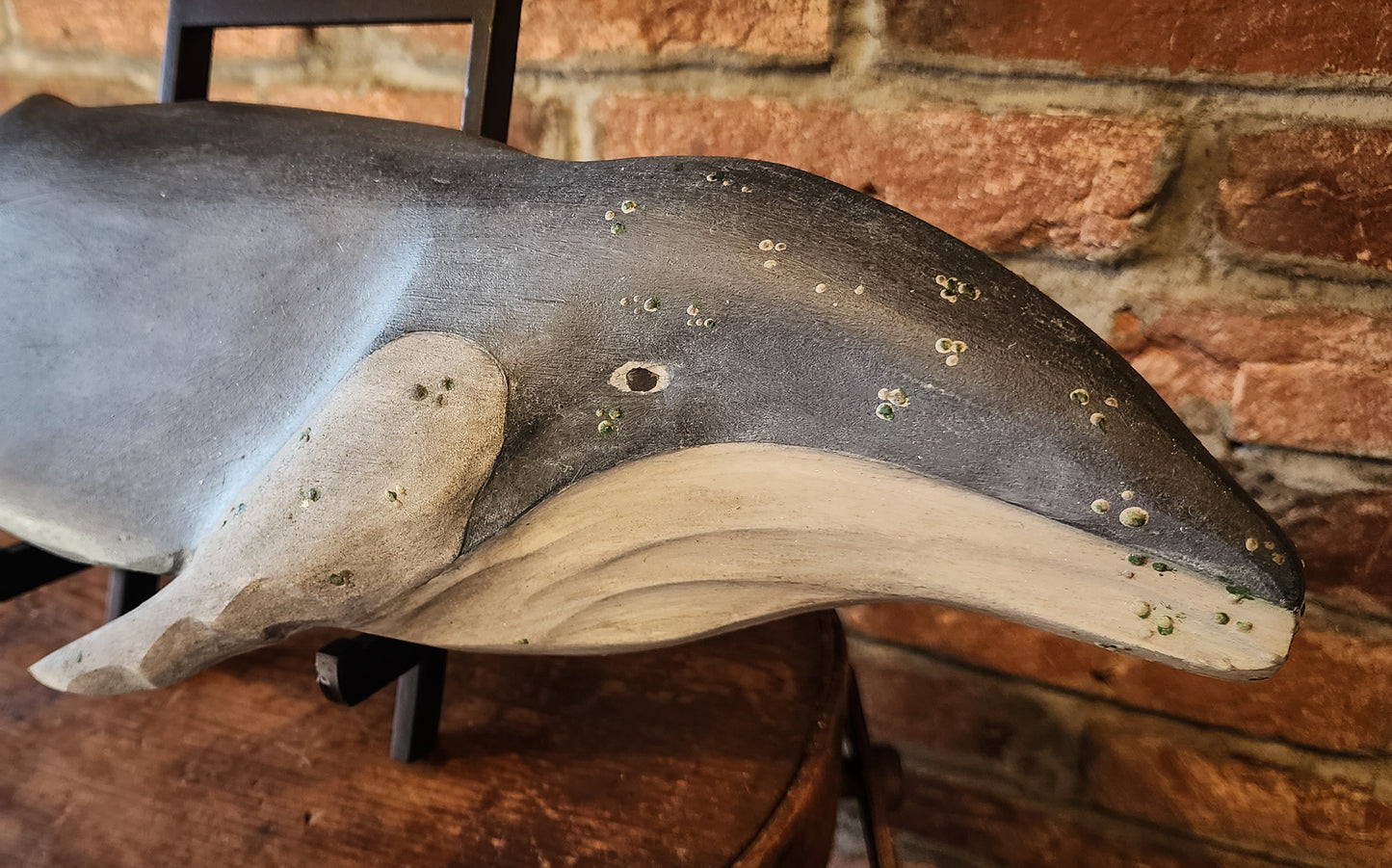 Hand Carved Humback Whale | Derek Abbott