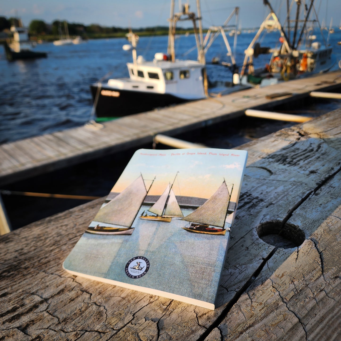 Grape Island Postcard Layflat Notebook | 7" x 9"