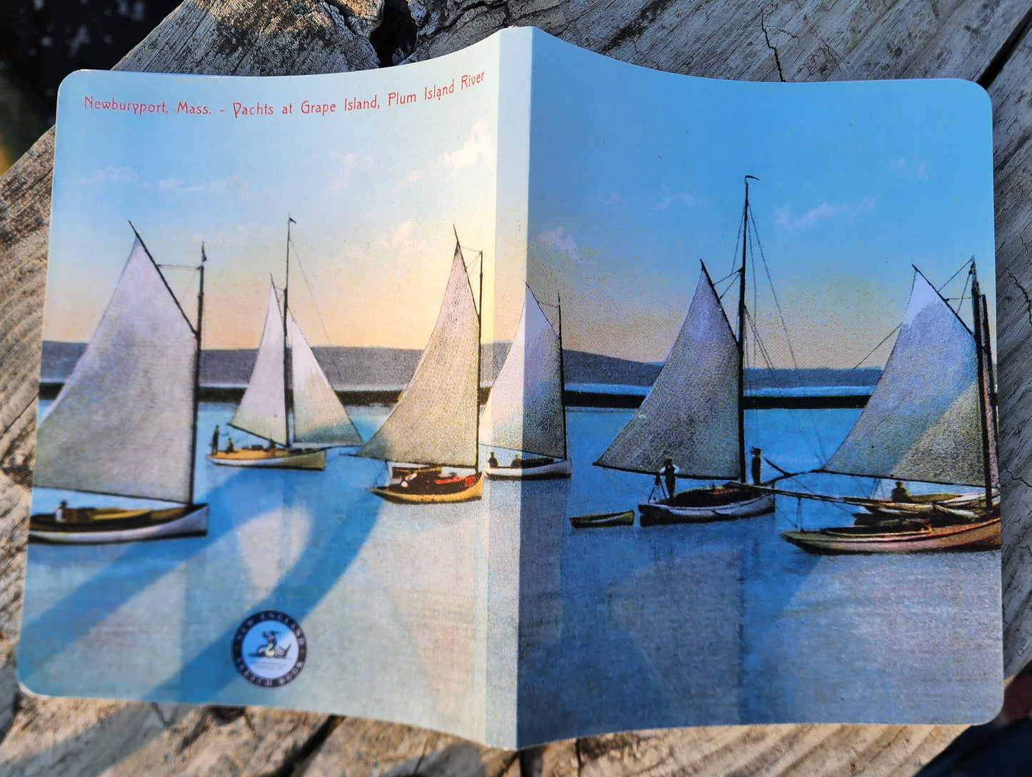 Grape Island Postcard Layflat Notebook | 7" x 9"