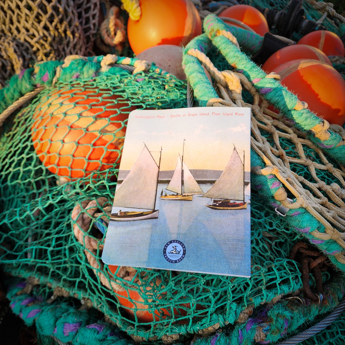 Grape Island Postcard Layflat Notebook | 7" x 9"
