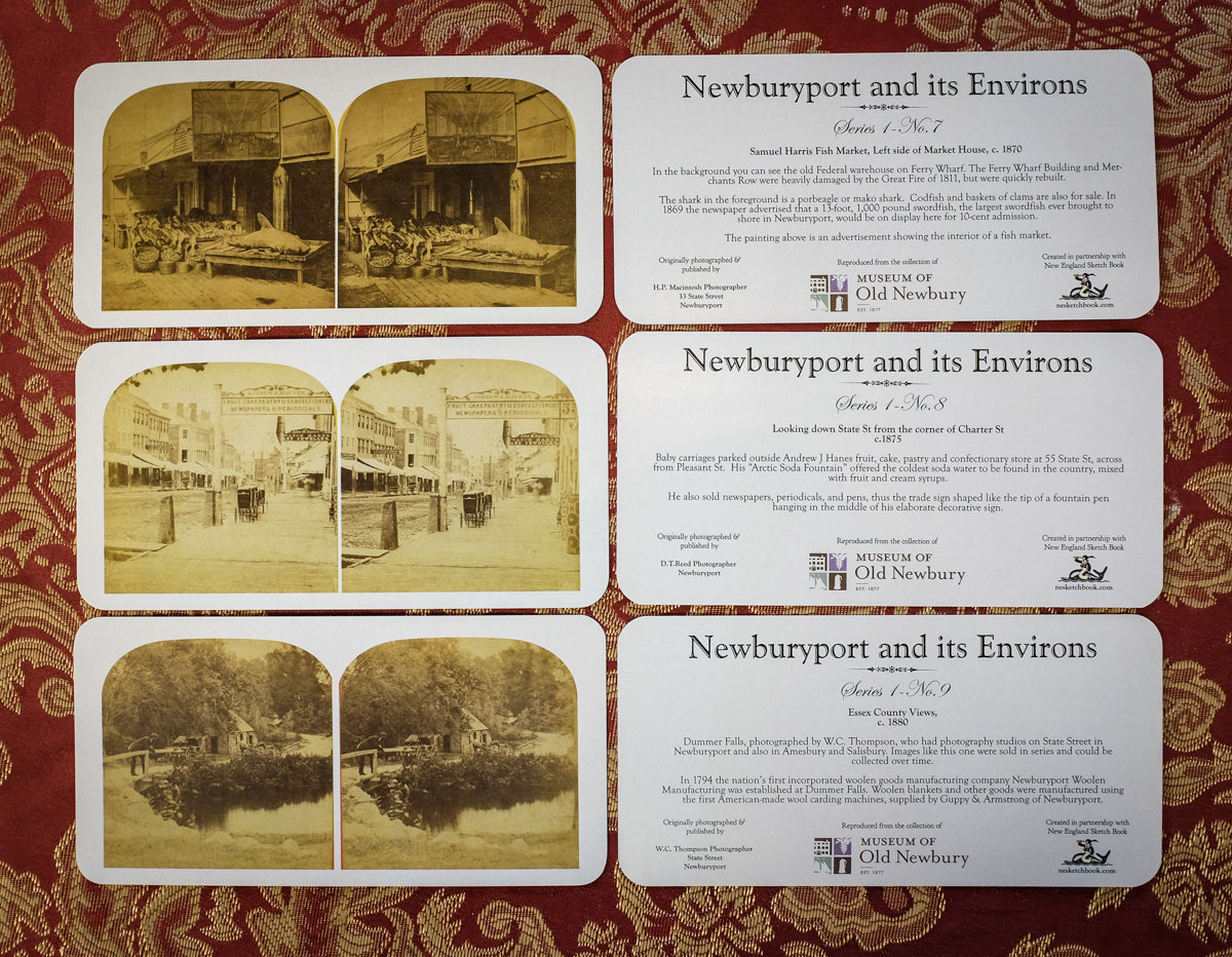 "Newburyport and its Environs" Stereoview Cards | Series 1