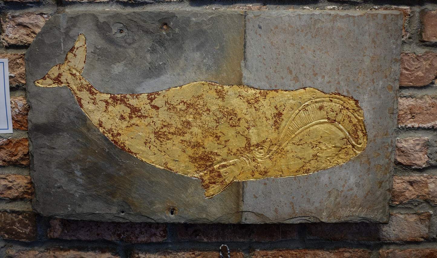 Right Whale on Reclaimed Slate | Updike