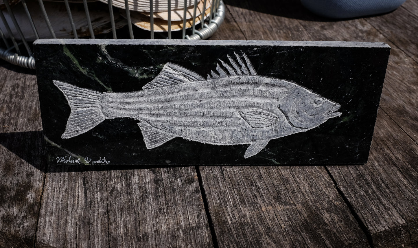 Striper on Marble | Updike