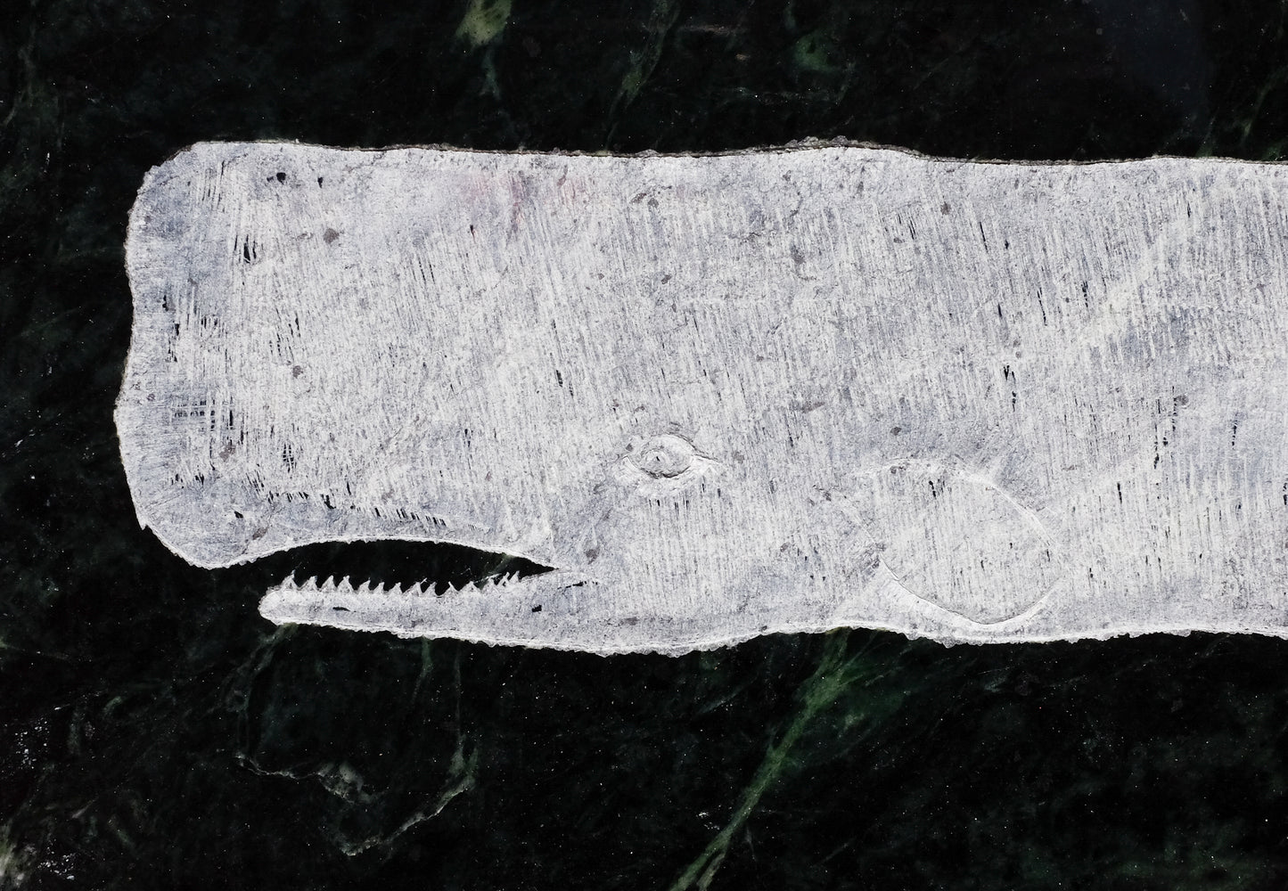 Carved Sperm Whale on Marble | Michael Updike