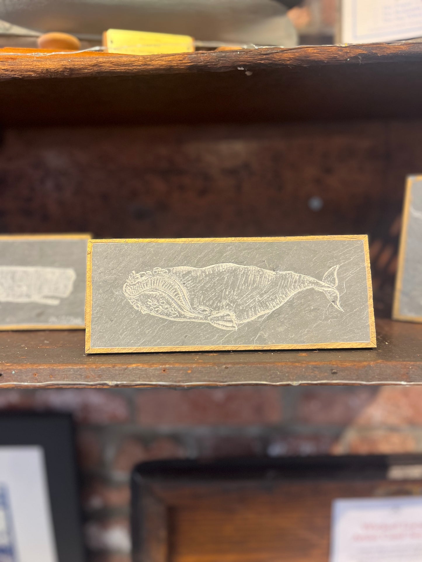 Right Whale Carved on Slate | Sm Rectangle | Updike
