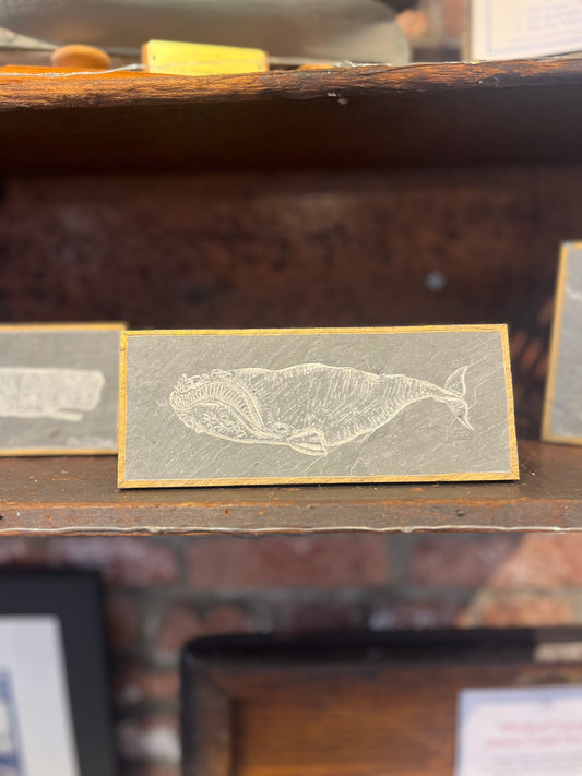 Right Whale Carved on Slate | Sm Rectangle | Updike