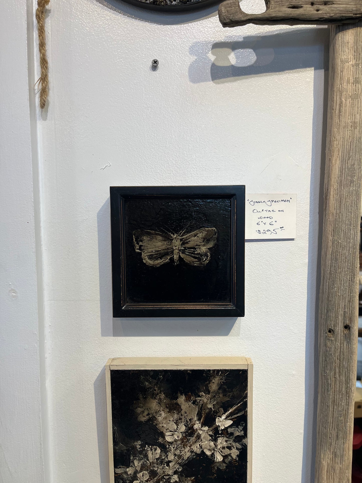 "Single Specimen" | Tar, oil, on wood panel, Framed | Chris Volpe