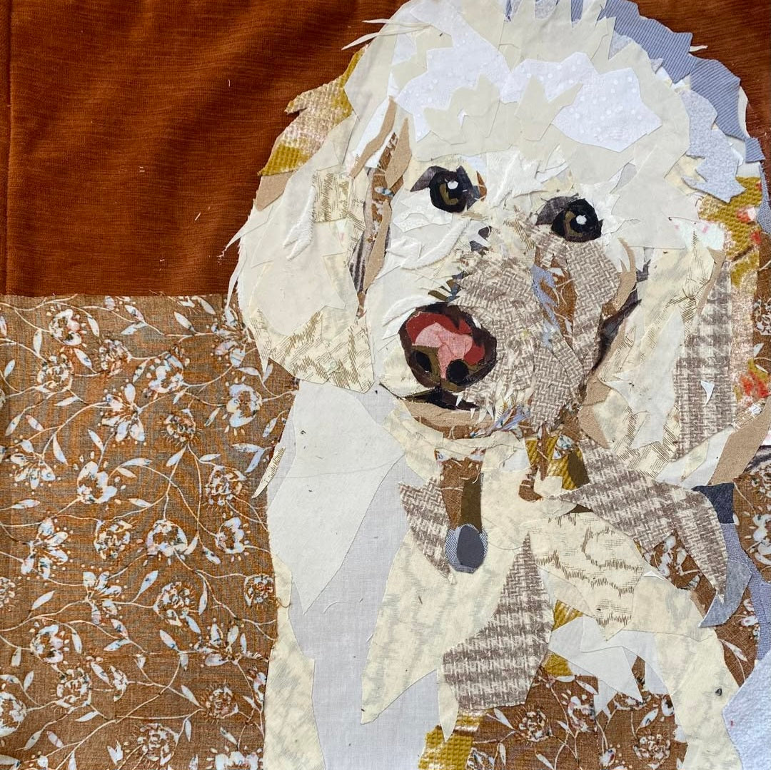 Custom Pet Pillow | Reclaimed Fabrics | DUO