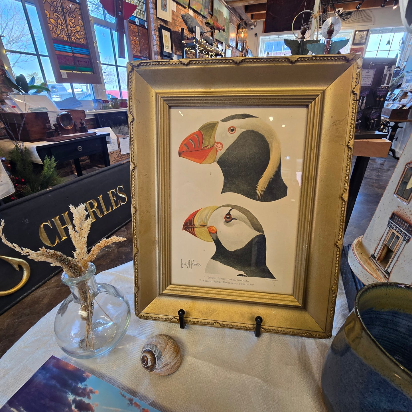 Louis A. Fuertes Puffin Lithograph | Early 1900s