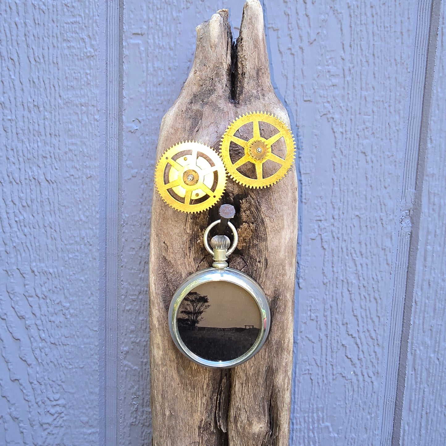 “Tides of Time"| Original NESB Tintype Driftwood assemblage