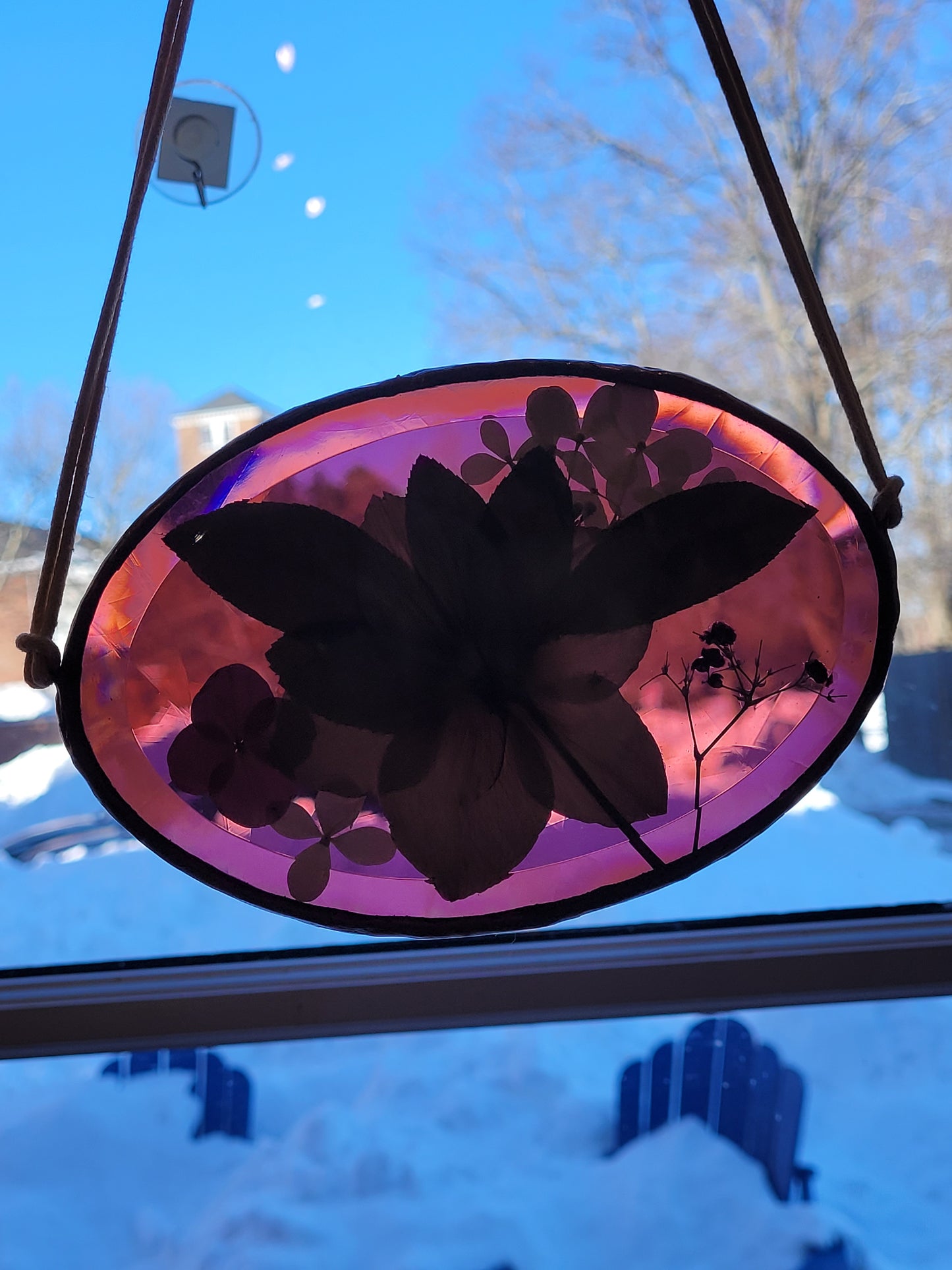 Pressed Flowers Hanging | Beveled Glass | Large