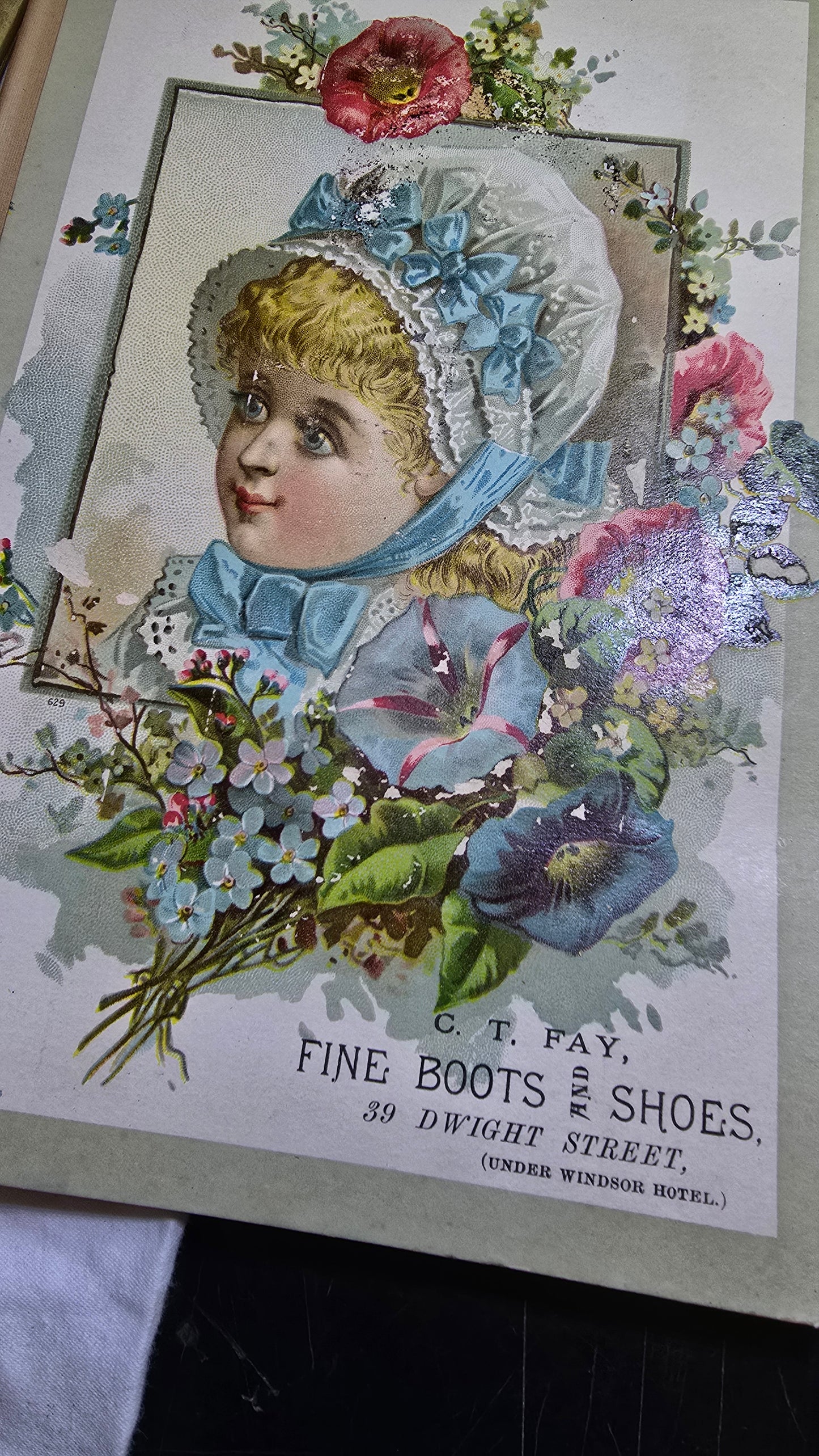 Louis A. Fuertes Puffin Lithograph | Early 1900s