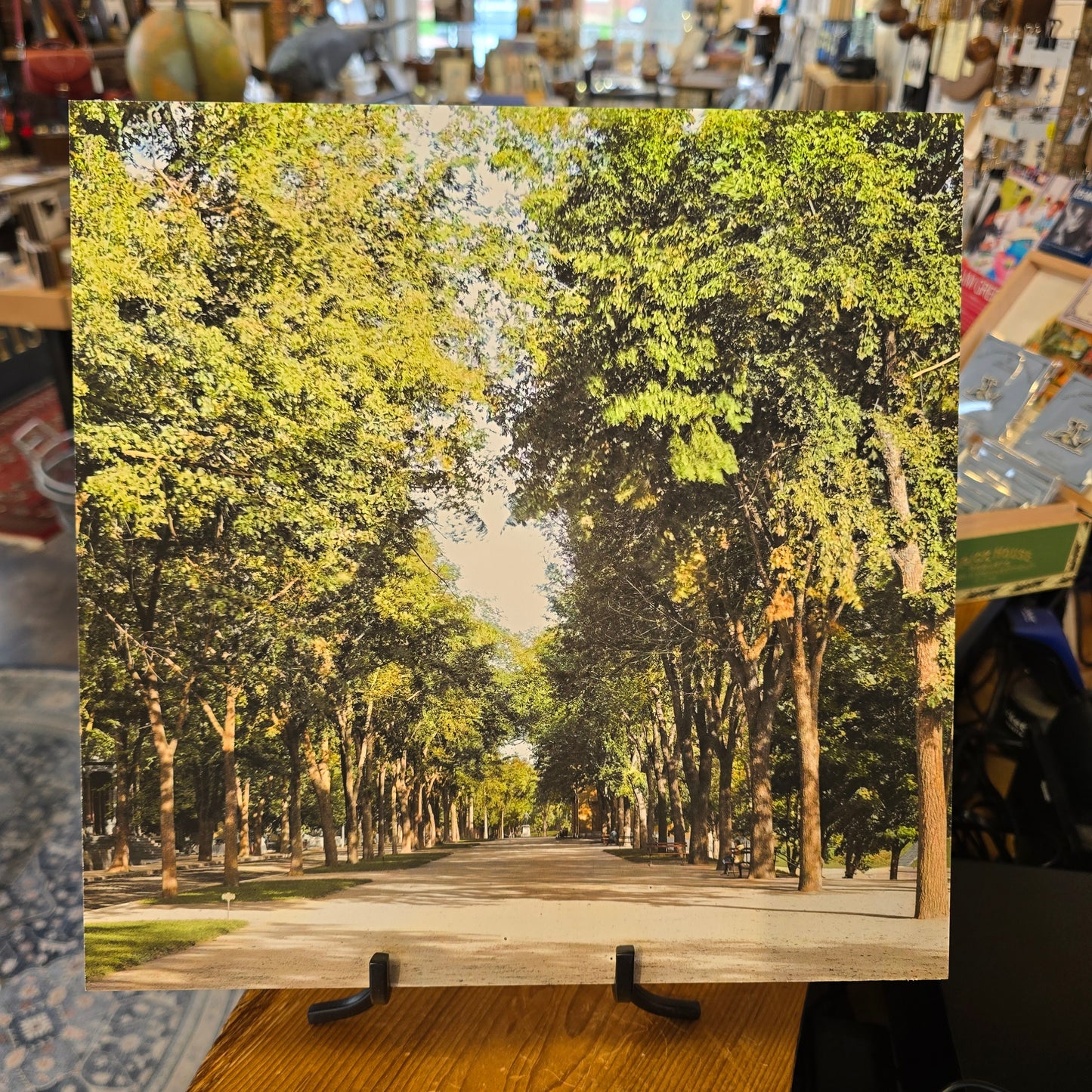 Bartlett Mall | c1894 | NESB Archival Giclee Print