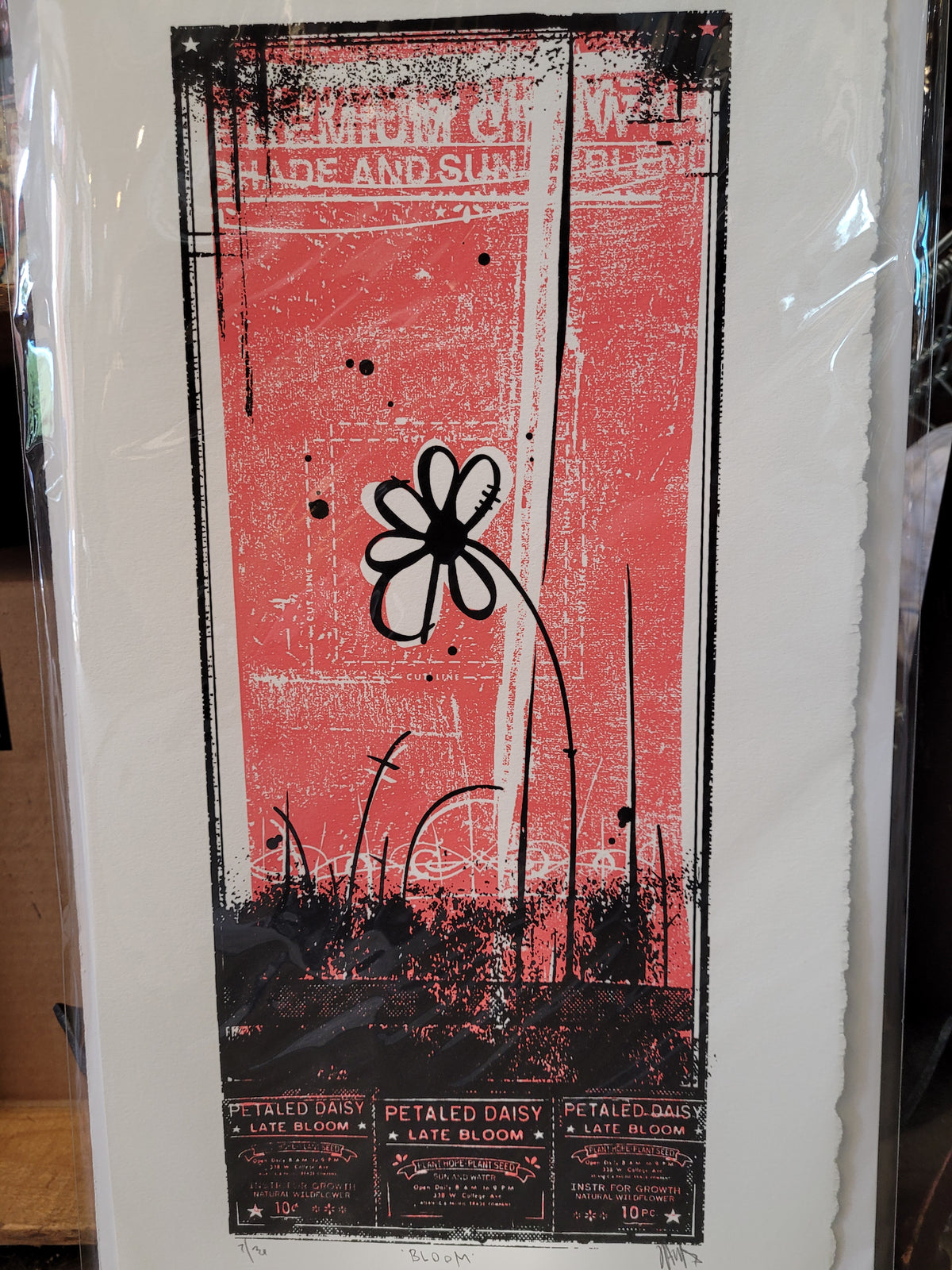 “Bloom” | Silkscreen Print | James Polisky