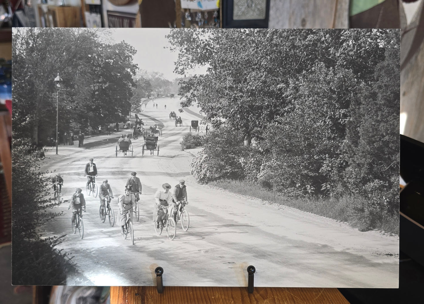 Bicycle Excursion - Franklin Park | 1890-1900 | NESB archival giclee print