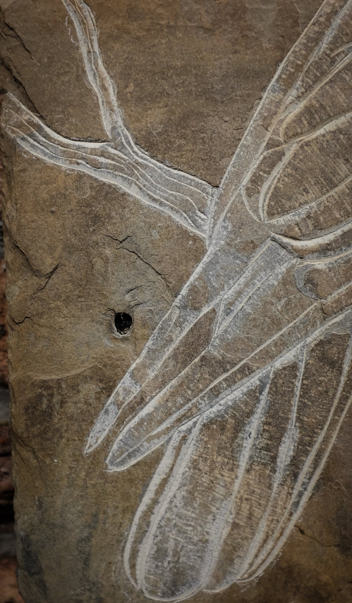 Slate Carving | Large Raven | Updike