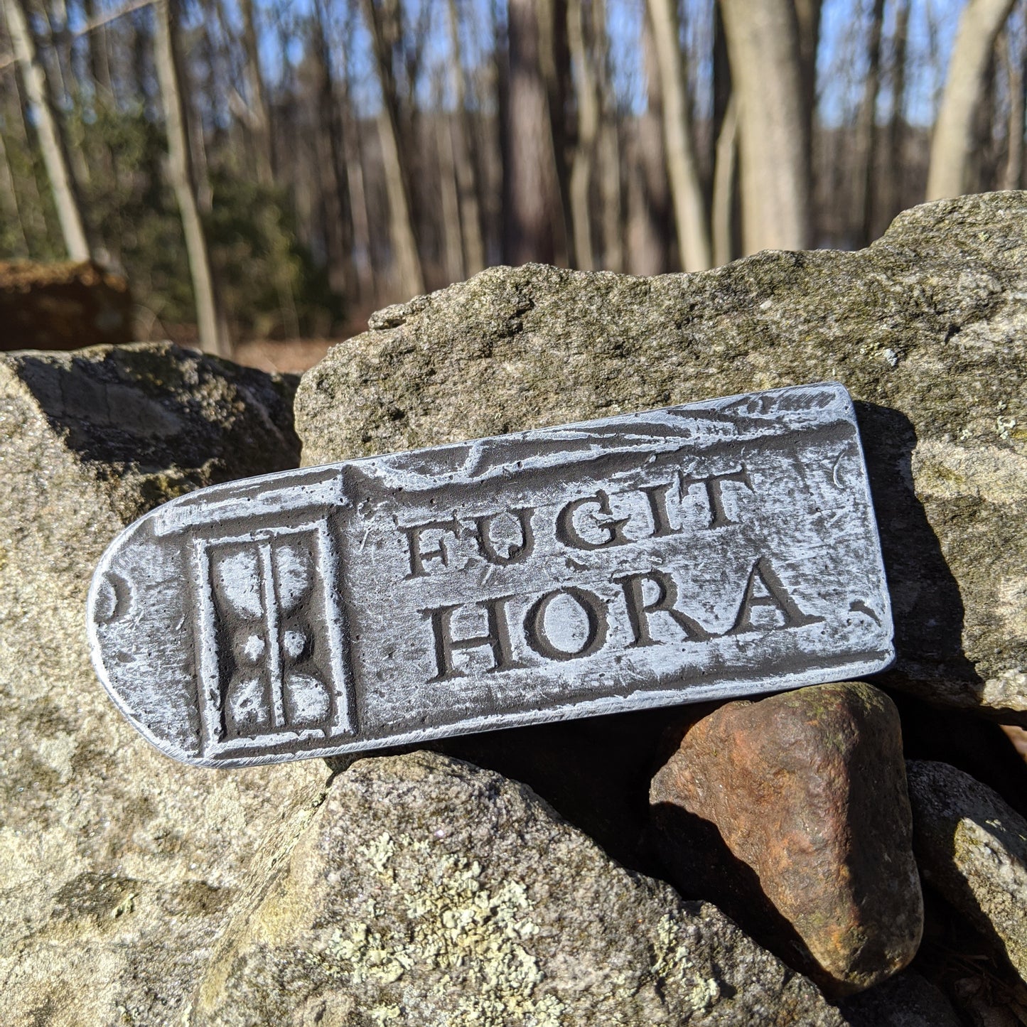 Fugit Hora