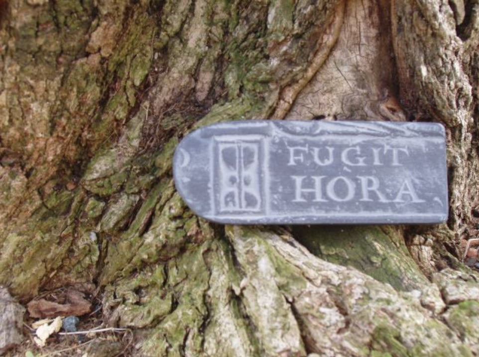 Fugit Hora