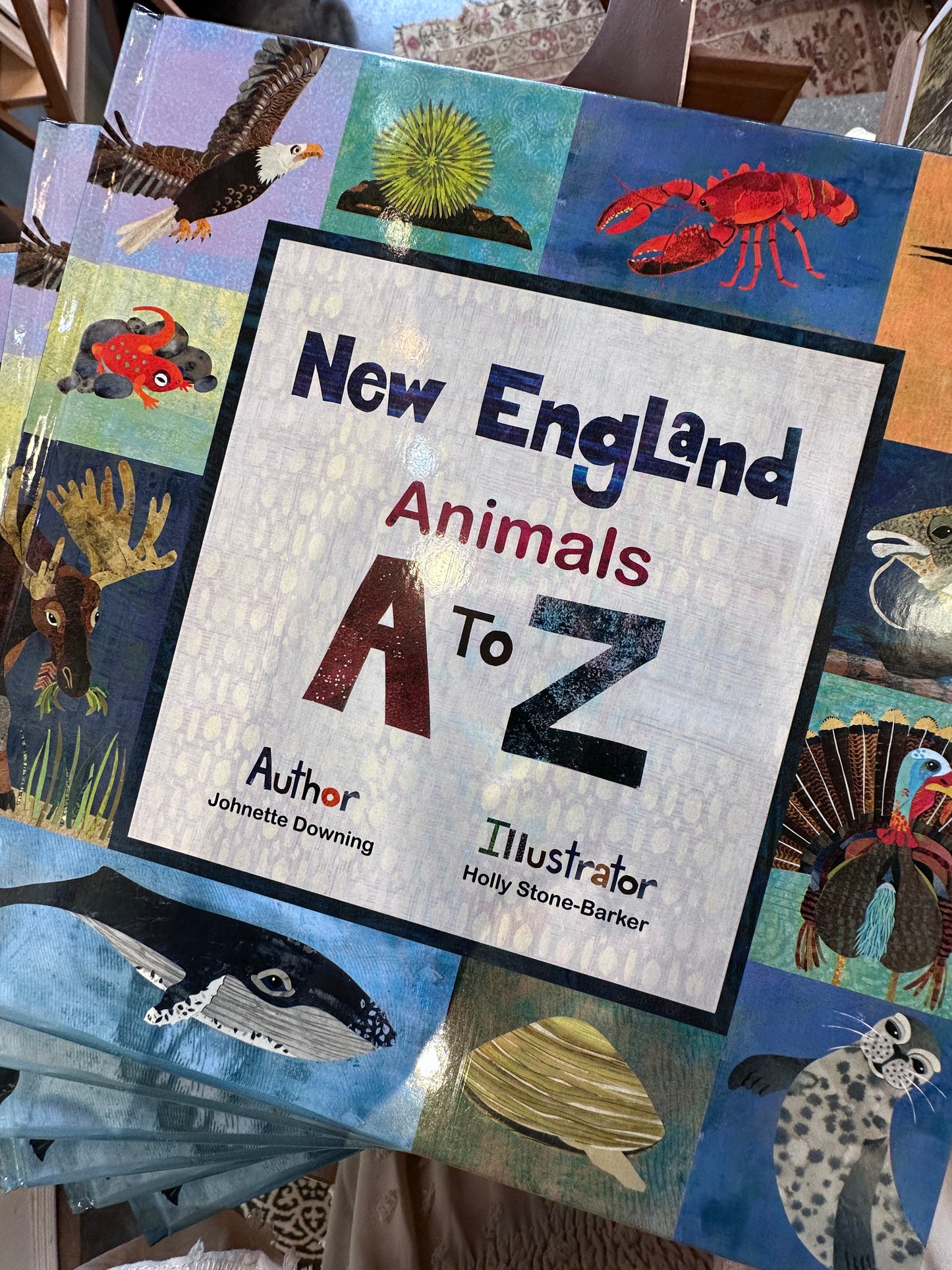 New England Animals A to Z