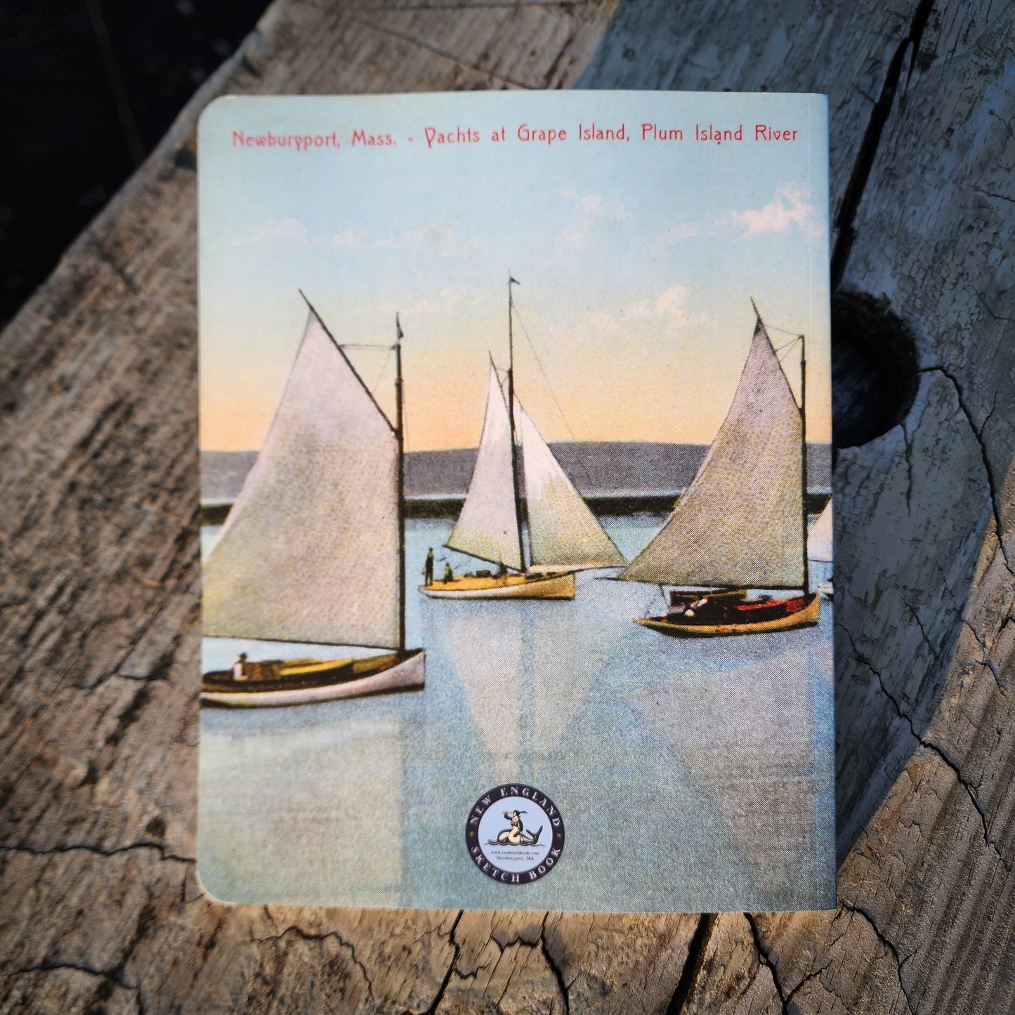 Grape Island Postcard Layflat Notebook | 7" x  9"