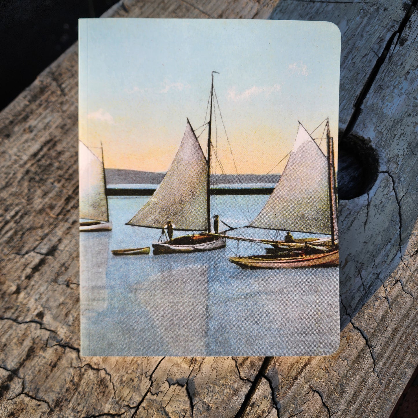 Grape Island Postcard Layflat Notebook | 7" x  9"