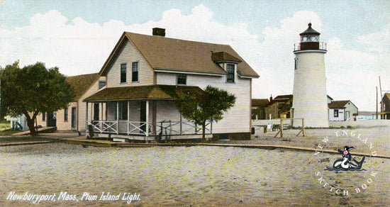 2025scan242.jpg