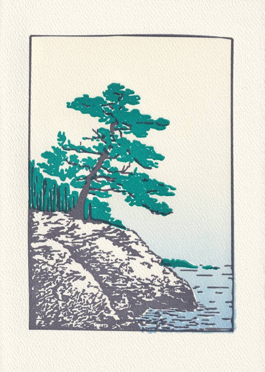 Maine Coast | Saturn Press