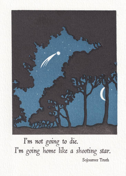 Going Home | Saturn Press