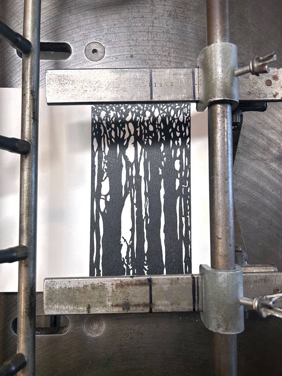 Thicket | Saturn Press