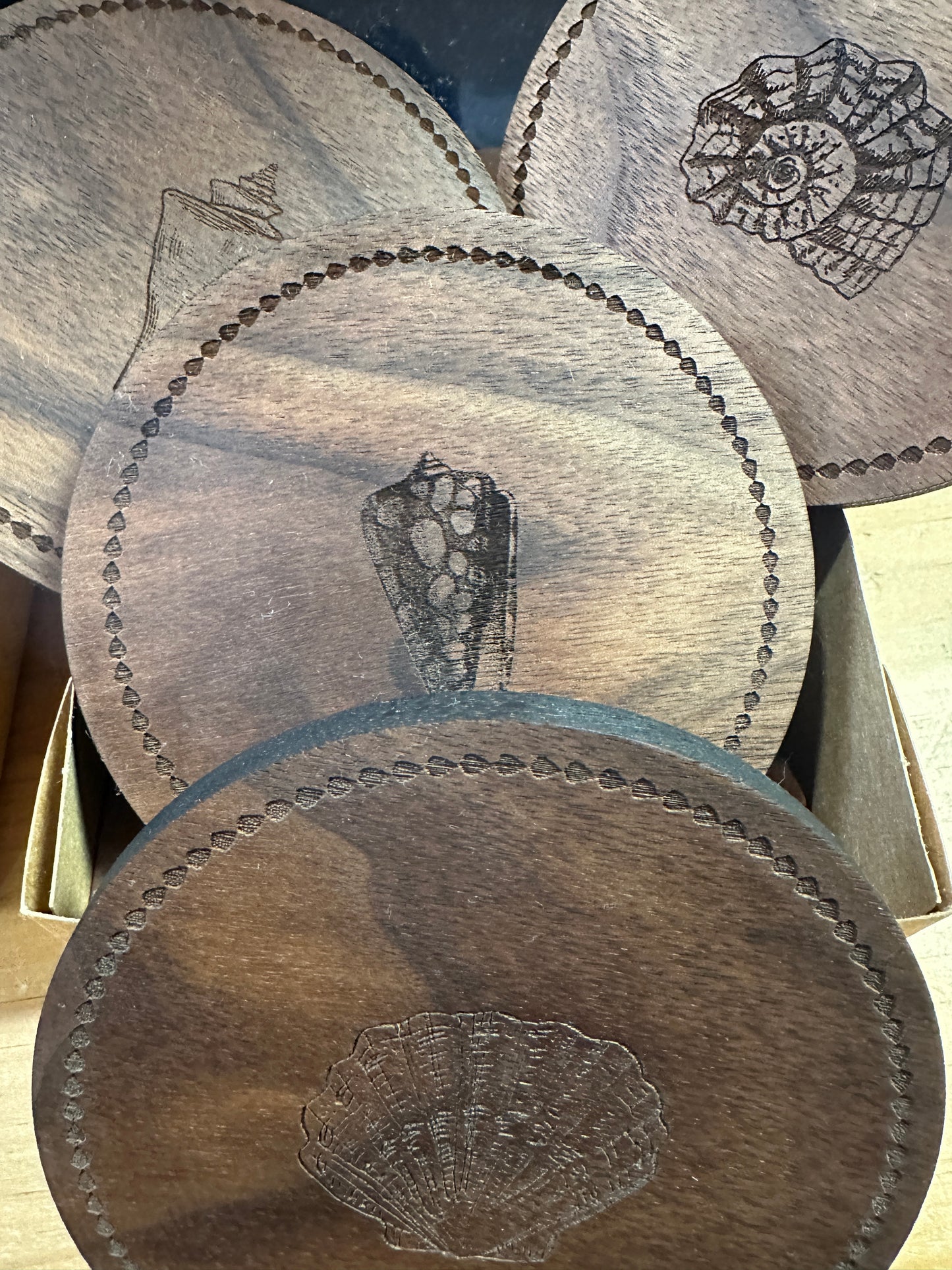Sea Shell Coasters | Artisans Paradise-Newburyport