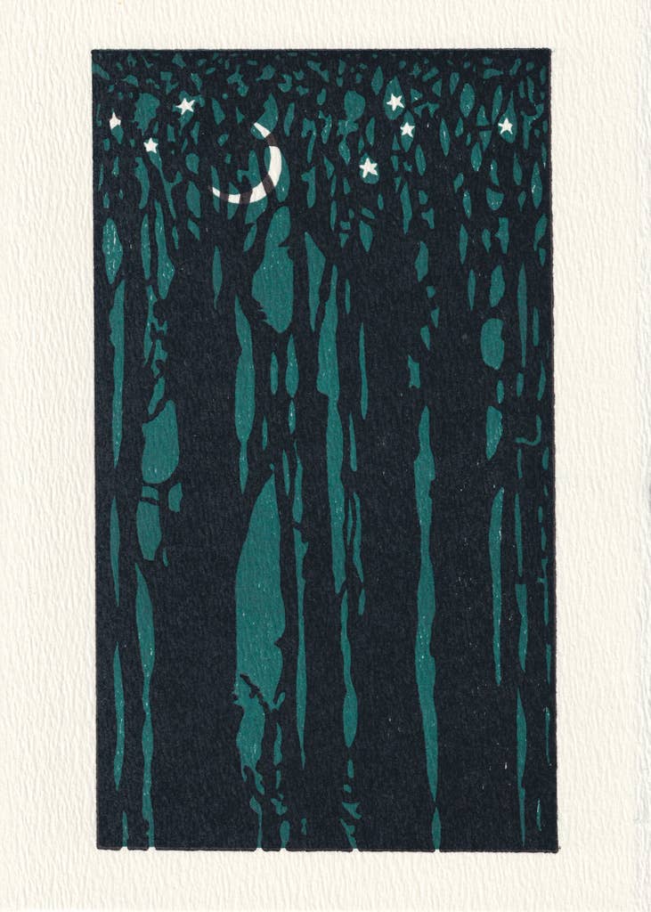 Thicket | Saturn Press