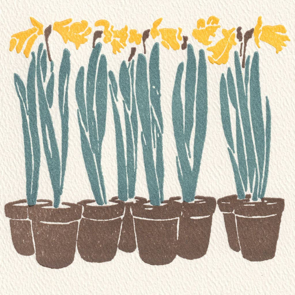 Eight Pots | Saturn Press