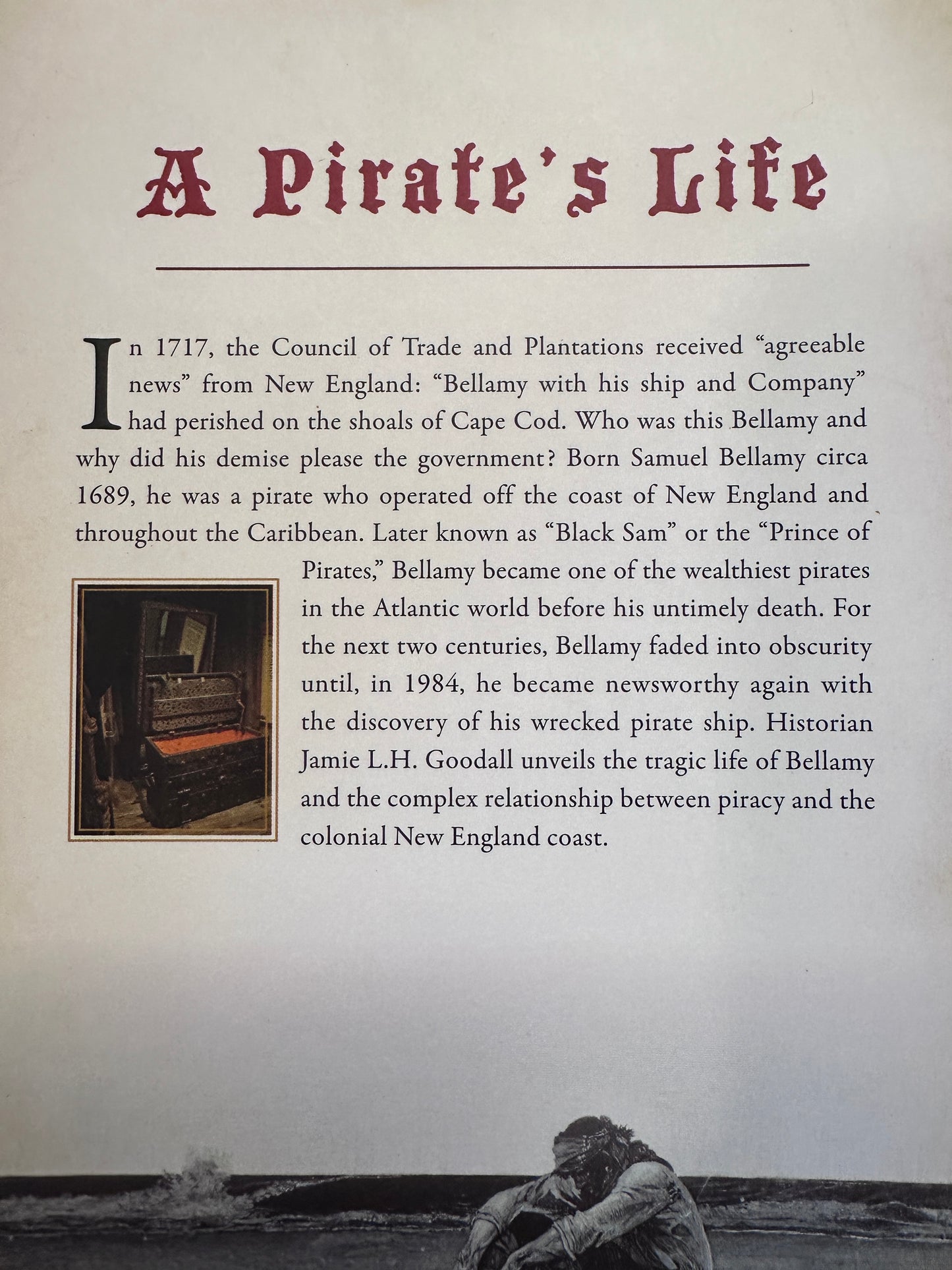The Daring Exploits of Black Sam Bellamy by Jamie L. H. Goodall