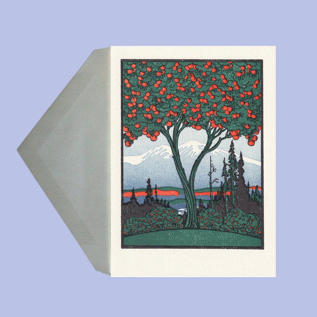 Orange Tree | Saturn Press