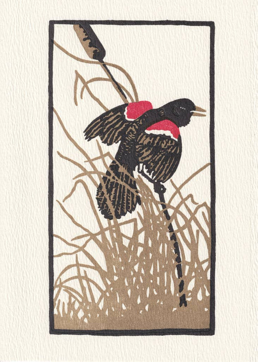 Red Wing Blackbird | Saturn Press