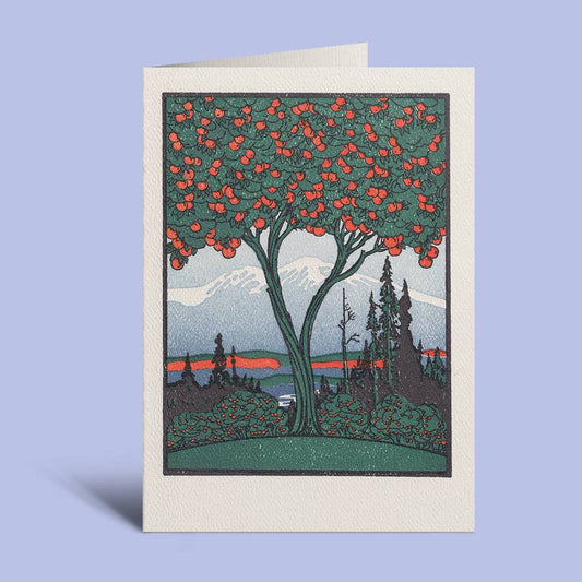 Orange Tree | Saturn Press