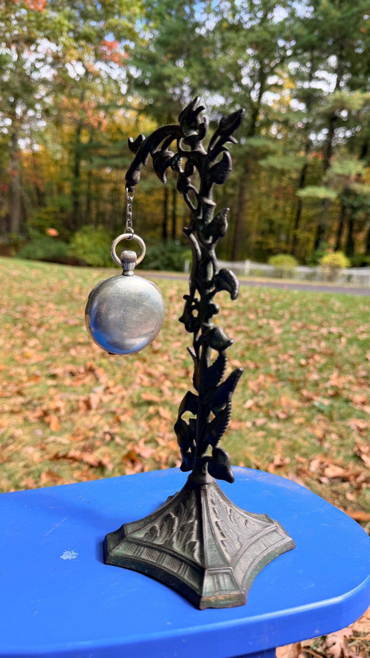 Original NESB Tintype | “Fern & Flower” on Antique Pocket Watch Stand