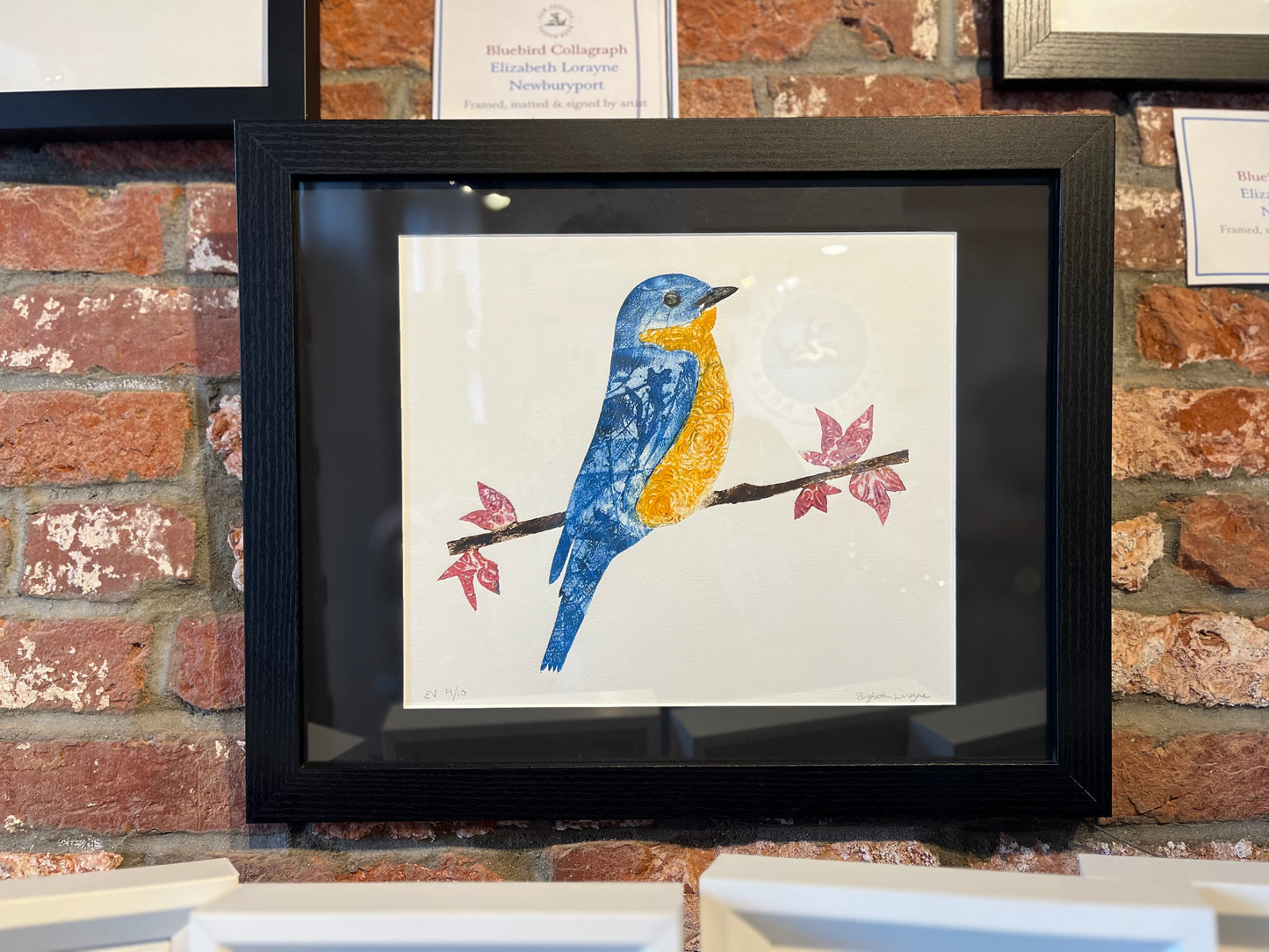 Elizabeth Lorayne  | "Blue Bird”| Framed Collagraph