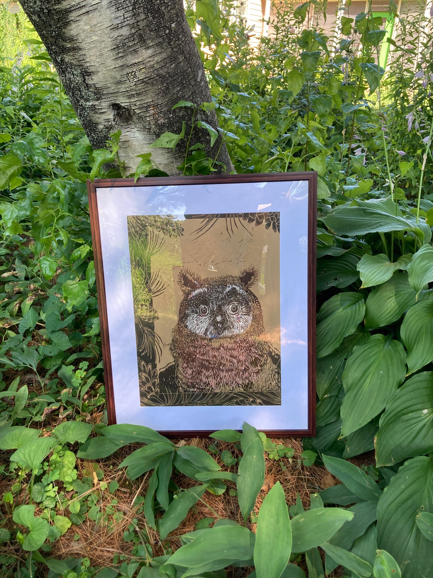 Chris Robinson | "Mr Owl” | Woodcut - Framed