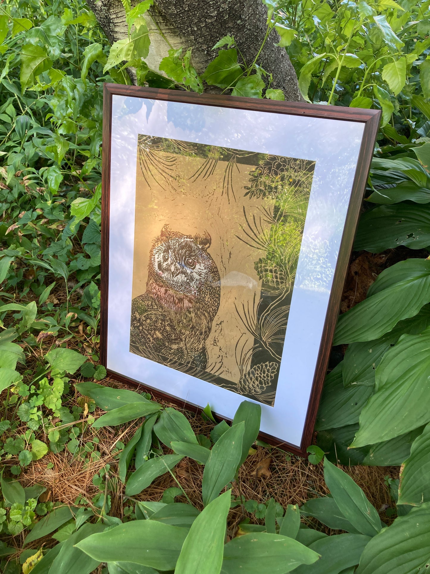 Chris Robinson | "Mrs Owl” | Woodcut - Framed