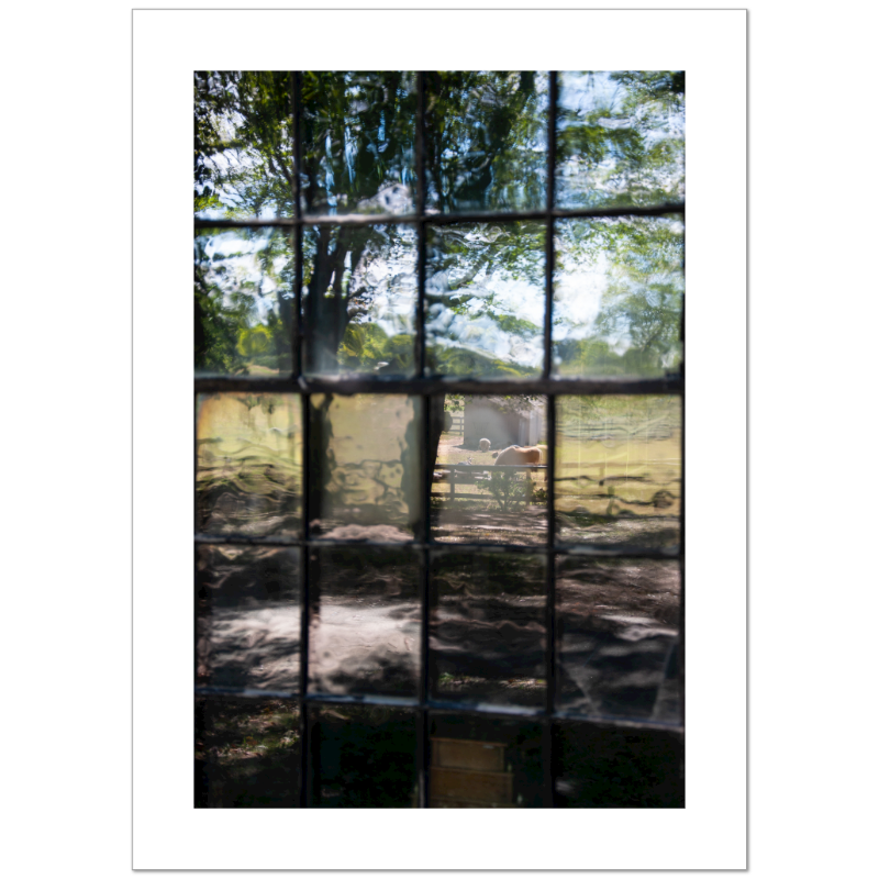 Limited Ed. Giclee Print | Corey Prince ~ Newburyport