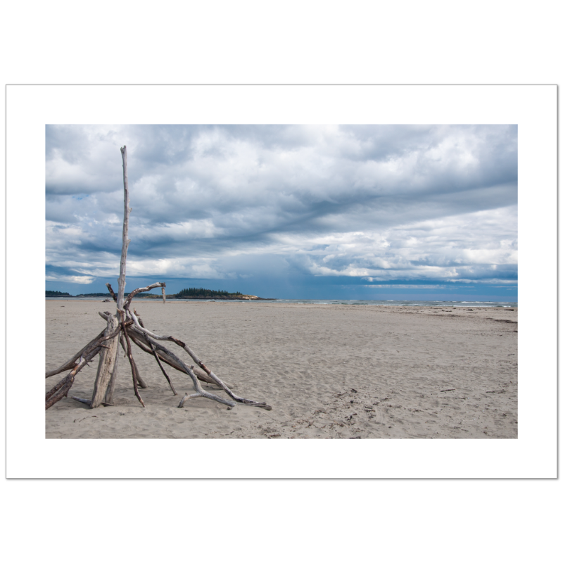 Limited Ed. Giclee Print | Corey Prince ~ Newburyport