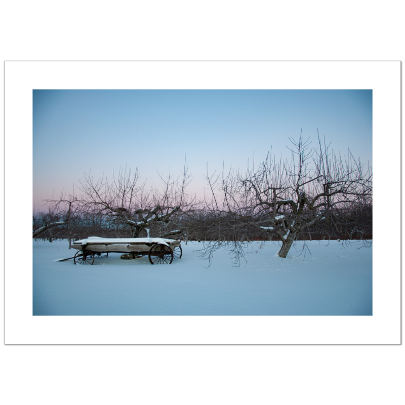 Limited Ed. Giclee Print | Corey Prince ~ Newburyport