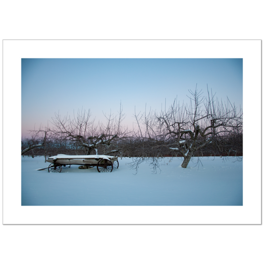 Limited Ed. Giclee Print | Corey Prince ~ Newburyport