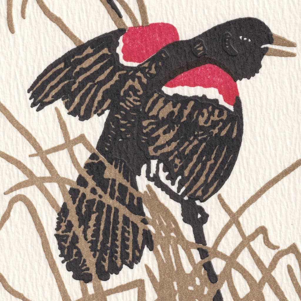 Red Wing Blackbird | Saturn Press