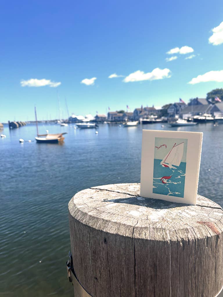 Regatta | Saturn Press