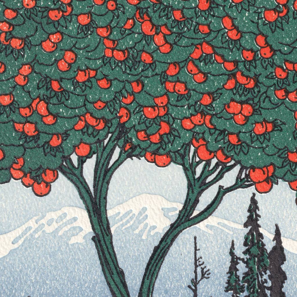 Orange Tree | Saturn Press