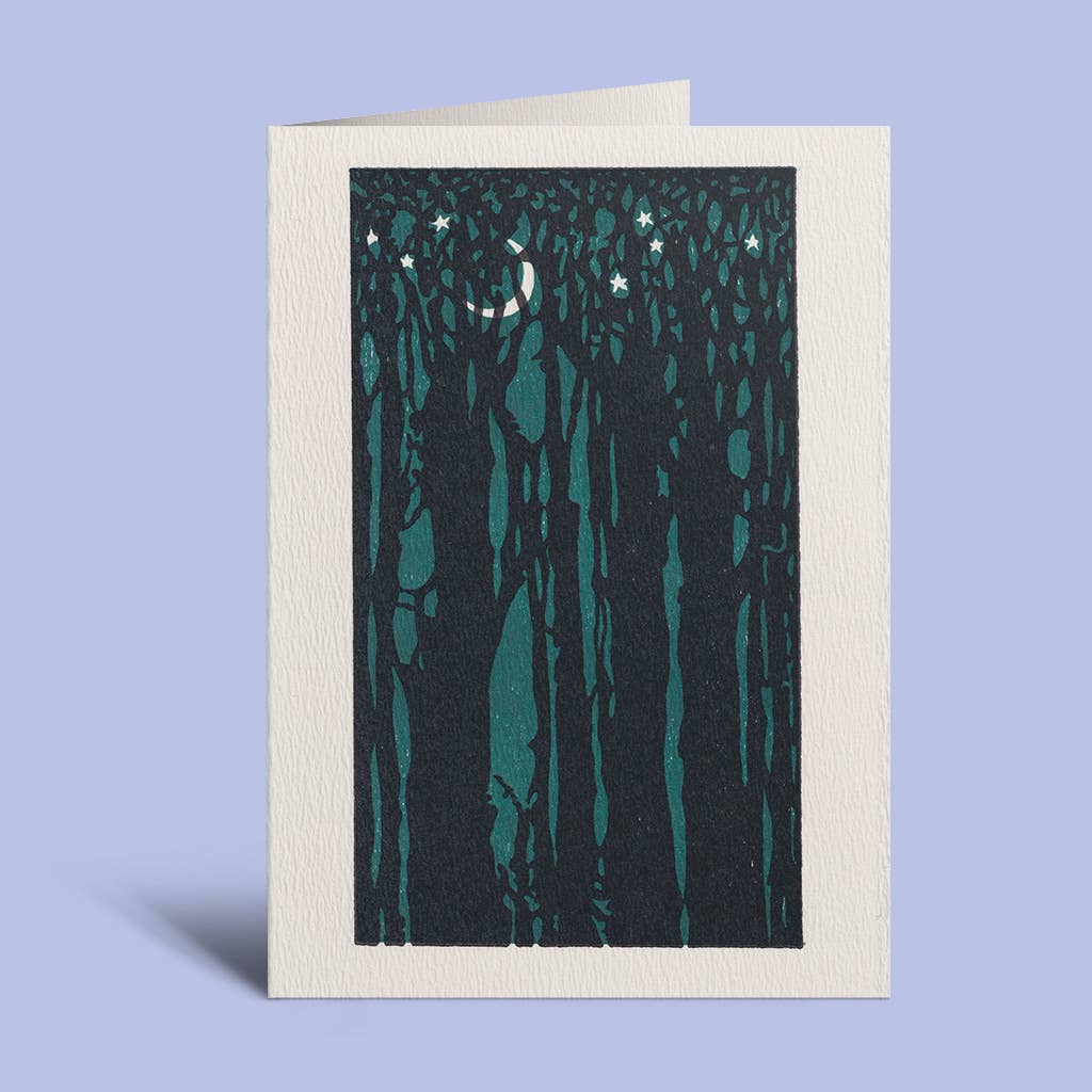 Thicket | Saturn Press