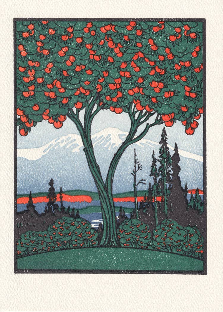 Orange Tree | Saturn Press