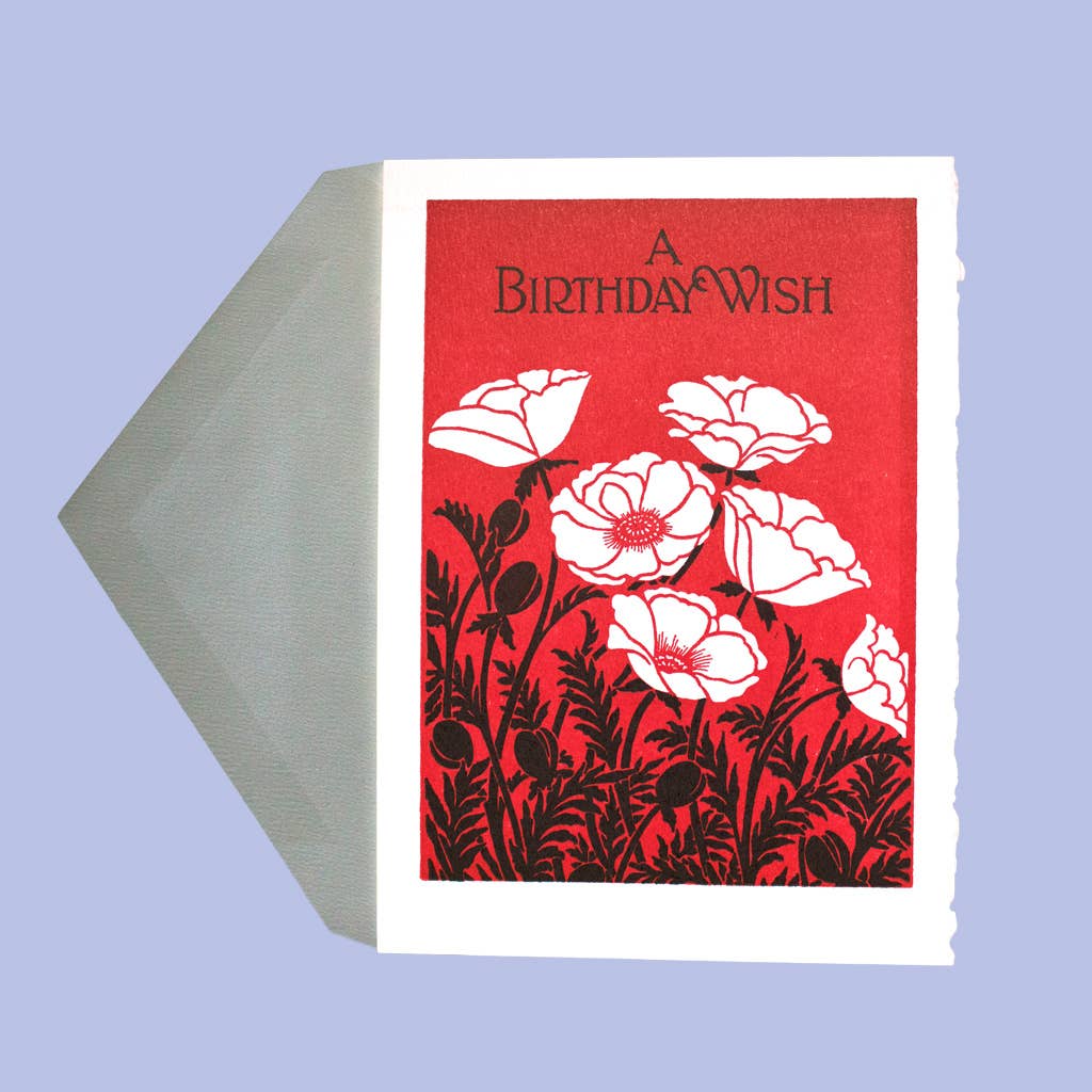Papaver | Saturn Press